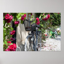 Fahrräder und Rosen in Schweden Poster