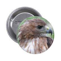 Falke-Auge Anstecknadelbuttons