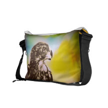 Falke-Auge Kurier Taschen