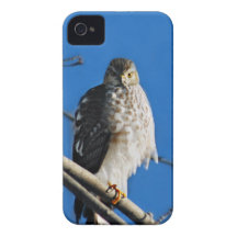 Falke iPhone 4 Fall Case-Mate iPhone 4 Hülle