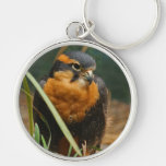 Falke keychain schlüsselband