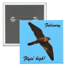 Falknerei - Flyin hoch! Button
