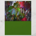 Fall-Farbe Flyer Druck