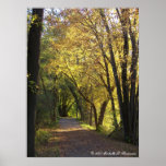 Fall farbige HinterLeinwand Plakat