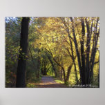 Fall färbte HinterLeinwand-Druck Posterdruck