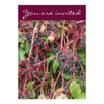 Fall - Herbst : Invitation (Blue Fruit) Individuelle Einladungen