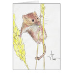 Fall herein dort, Dormouse! Karten