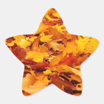 Fall Leaves Autumn Ground Cover Star Stickers