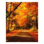 Fallhinterfoto