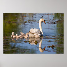 Familien-Reflexion Plakate