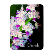 Fantastischer lila und weißer Orchideen-Entwurfs-M