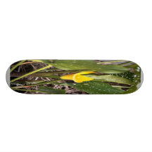 Fantastischer Lilly Individuelle Decks