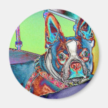 Färben Sie meine Welt mit Boston-Terriern Kühlschrankmagnet