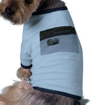 Fass auf Eis Hunde Shirt