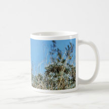 Fass-Kaktus ein Kaktus in Anza Borrego Wüste Cact Tee Haferl