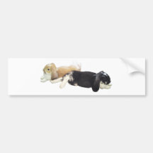 Faule Kaninchen - Häschen-niedliches schläfriges m Autosticker