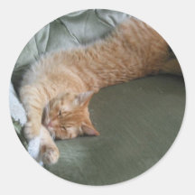 Faule orange Miezekatze Sticker