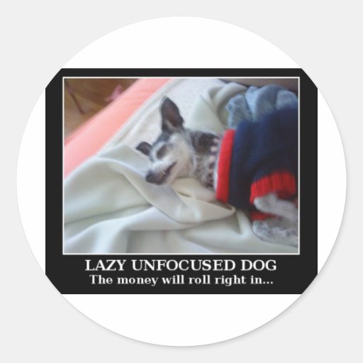 Fauler Unfocused Hund Sticker