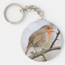 Februar Robin Schlüsselbänder