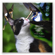 Feen mit Katzen-William Shakespeare-Zitat-Druck Kunstphoto