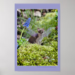 Feenhafter Druck der niedlichen Waldkatze Posterdruck
