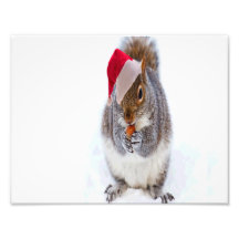 Feiertags-Eichhörnchen Kunst Foto