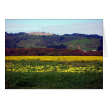 Feld der Blumen Grußkarten
