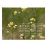 Feld der gelben Blumen; Kalender 2013 Kunst Fotos