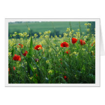 Feld der Mohnblumen Karte