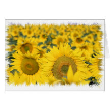 Feld der Sonnenblume-Gruß-Karte