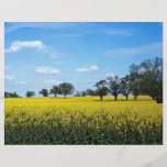 Feld des Raubs, Surrey, England Flyer