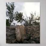 Felsen und einzige Palme Posterdruck