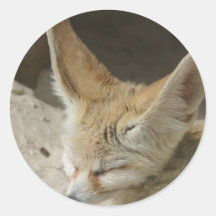 Fennec Fox-Aufkleber