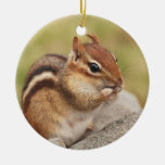 Fette u. glückliche Snacking Chipmunk-Verzierung Weihnachtsbaum Ornament