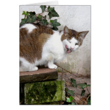 Fifi Note Card
