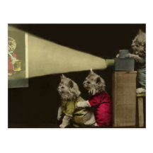 Film-Nacht Postkarte