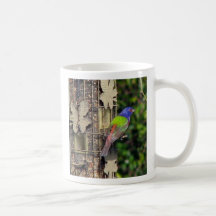 finch-1- 5.-06. Februar, das gemalte mit dem Kopfe Kaffee Tasse