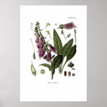 Fingerhut Plakatdruck