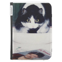 finny Katze zünden Kasten an