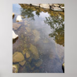 Fisch-Teich Posterdrucke