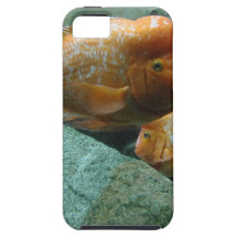Fischartige Gesicht nur Momma Fische wurden Liebe Etui Fürs iPhone 5