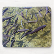 Fischbrutplatz Mousepads