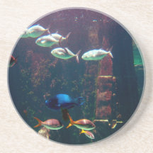Fische im Aquarium Getränkeuntersetzer