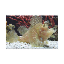 Fische Leinwand Druck