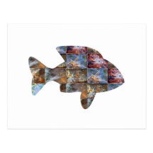 FISCHE POSTKARTE