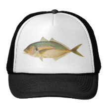 Fische - silbernes Trevalley - Usacaranx georgianu Retrokappen