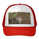 FishingCat001 Baseball Kappe