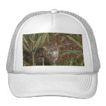 FishingCat002 Retrokultmützen