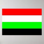 Flagge Kirgisistans (vorgeschlagen), Kuwait Plakat