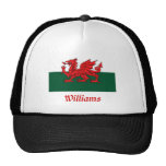 Flagge Williams Waliser Trucker Cap
